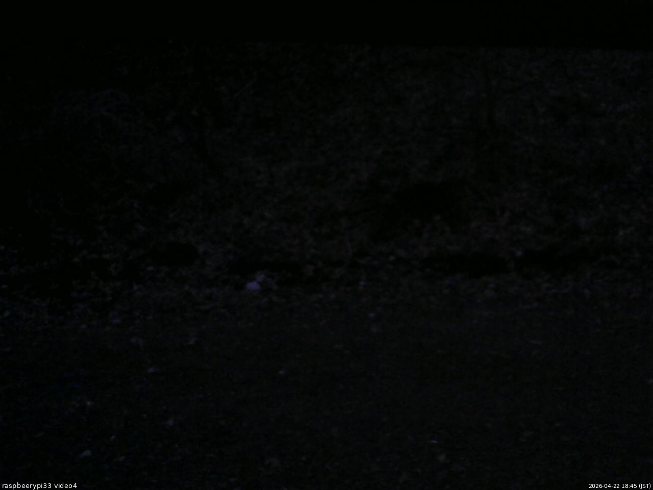 長野県菅平高原 ゆたか山荘 東側(坂下) 2026/04/22 18:45