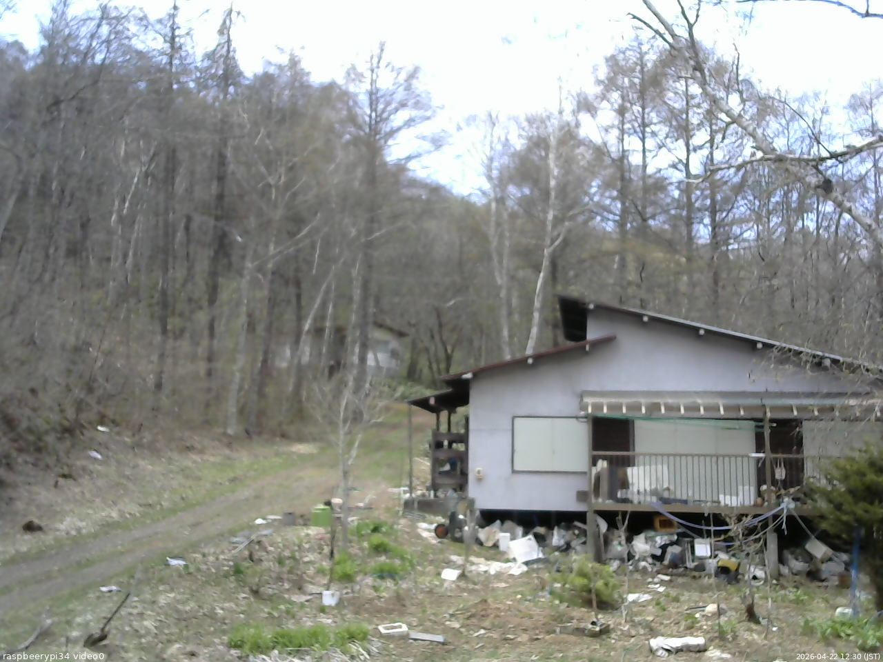 長野県菅平高原 ゆたか山荘 西側(坂上) 2026/04/22 12:30
