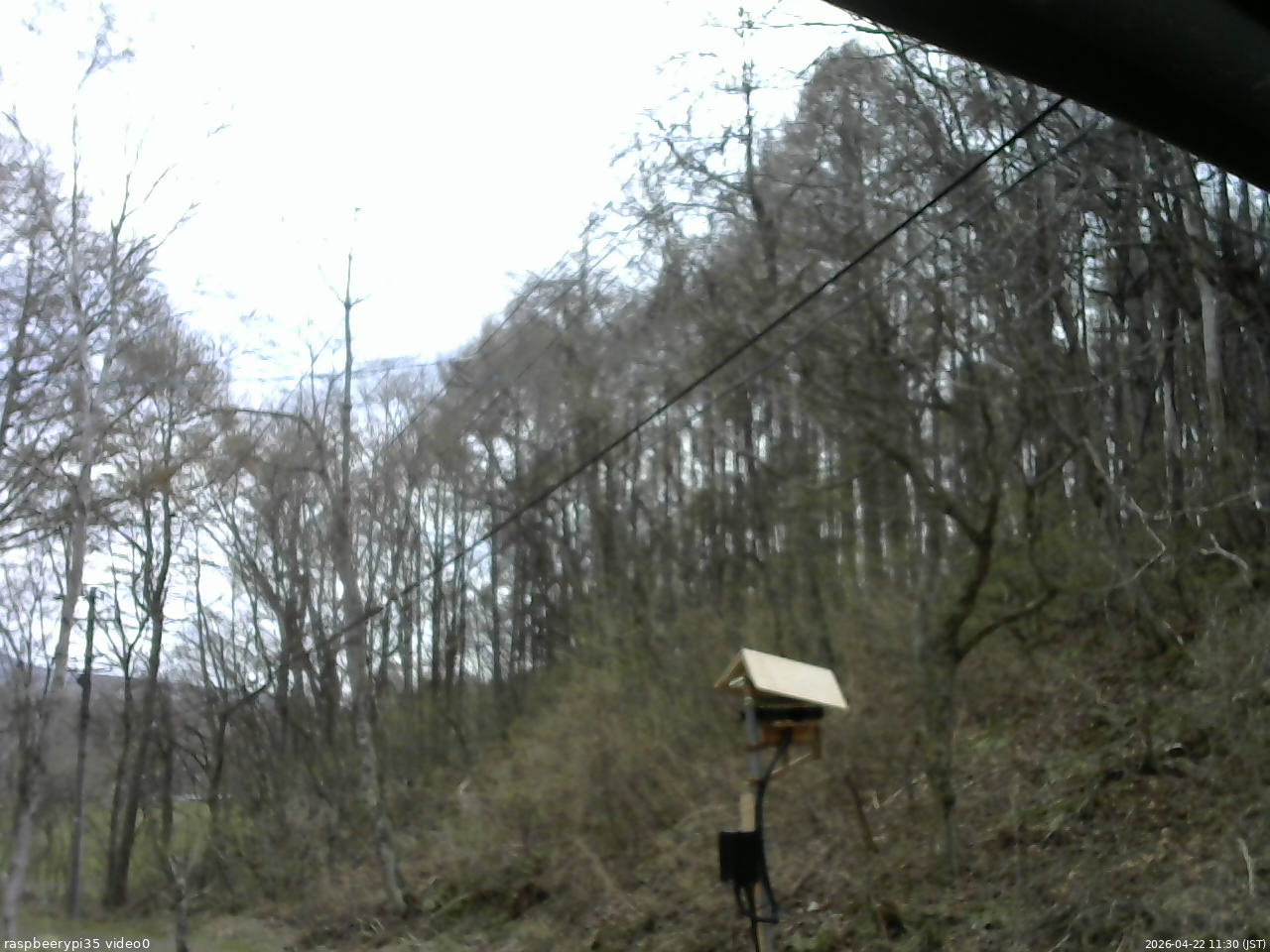 長野県菅平高原 ゆたか山荘 温度計 2026/04/22 11:30