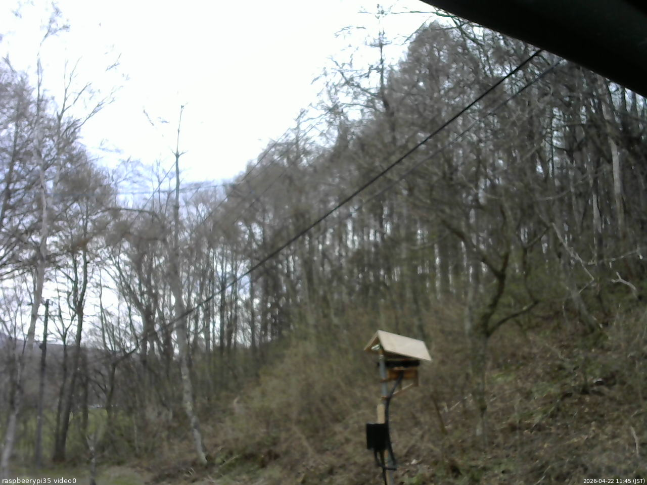 長野県菅平高原 ゆたか山荘 温度計 2026/04/22 11:45