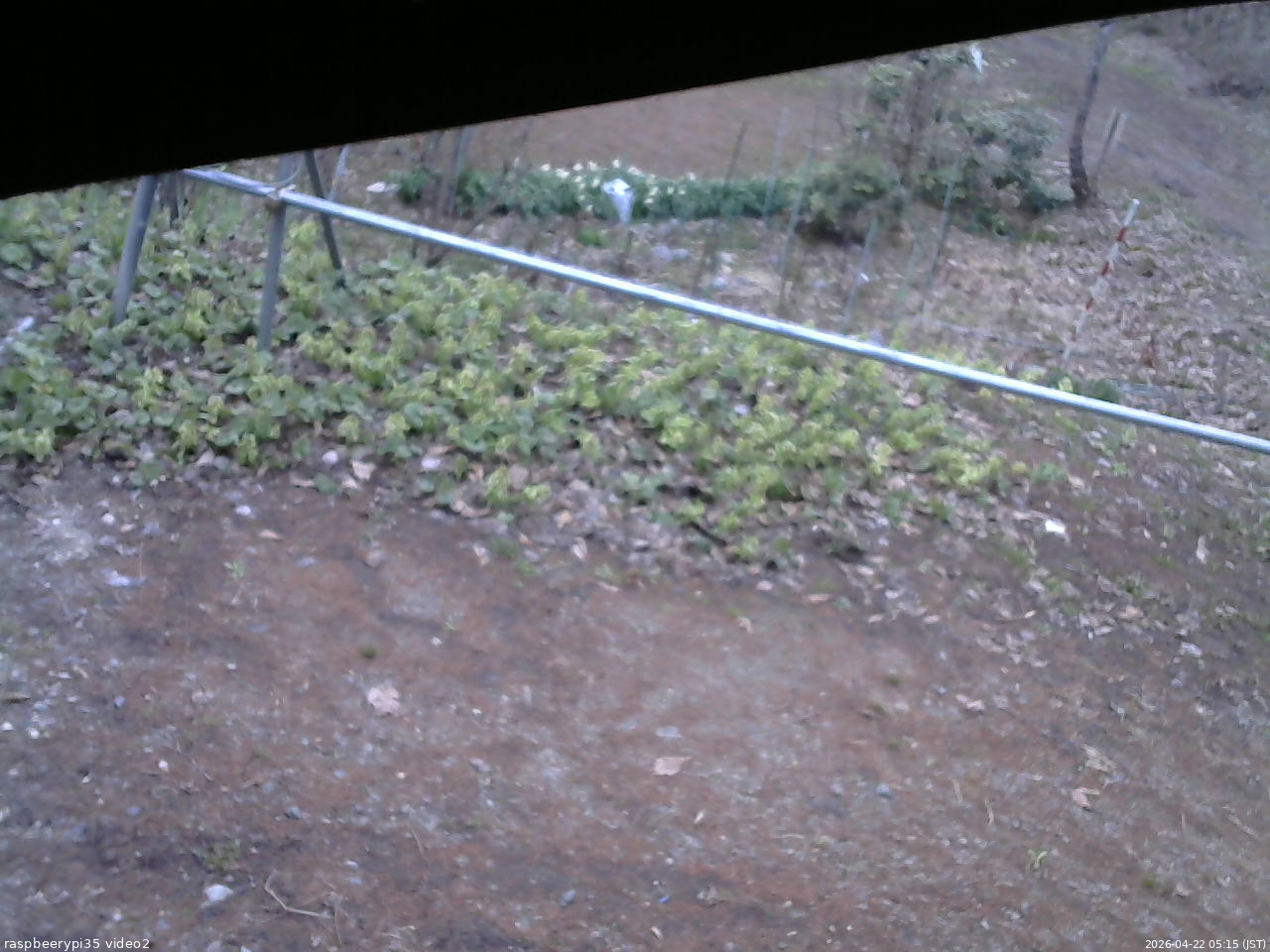長野県菅平高原 ゆたか山荘 駐車場 2026/04/22 05:15