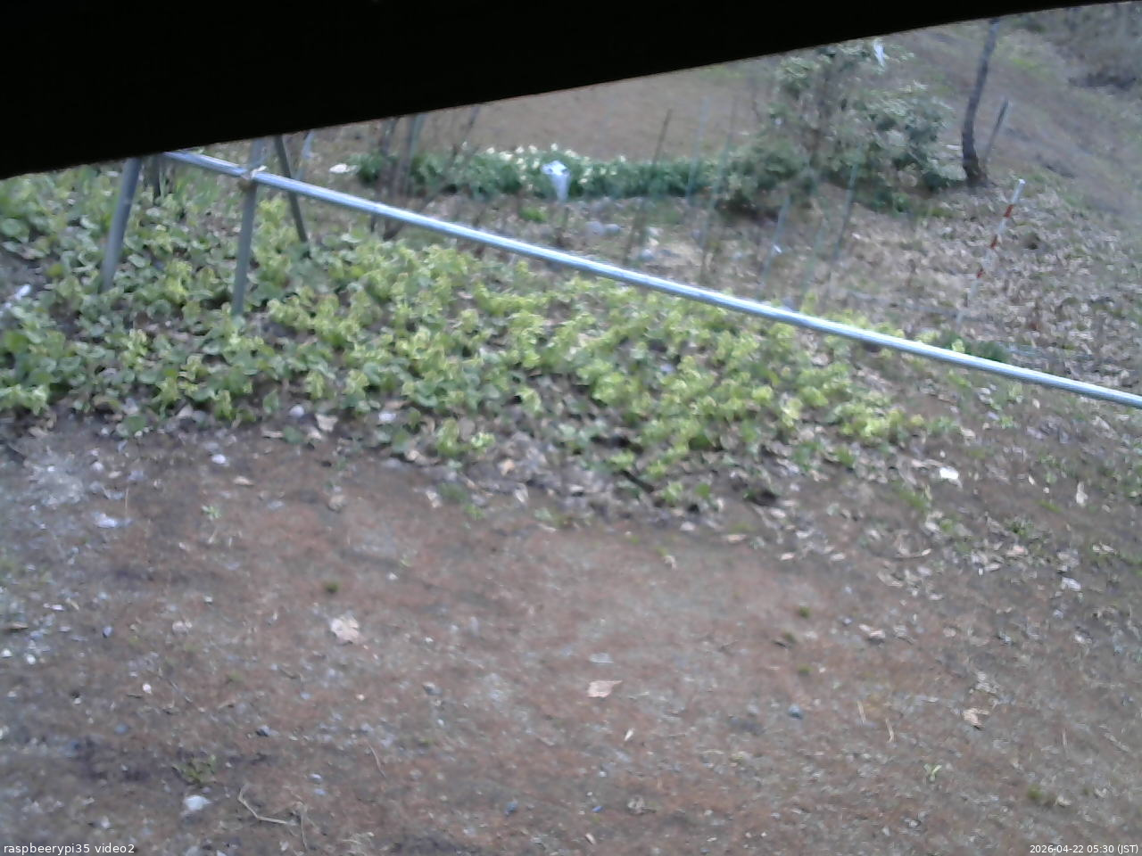 長野県菅平高原 ゆたか山荘 駐車場 2026/04/22 05:30