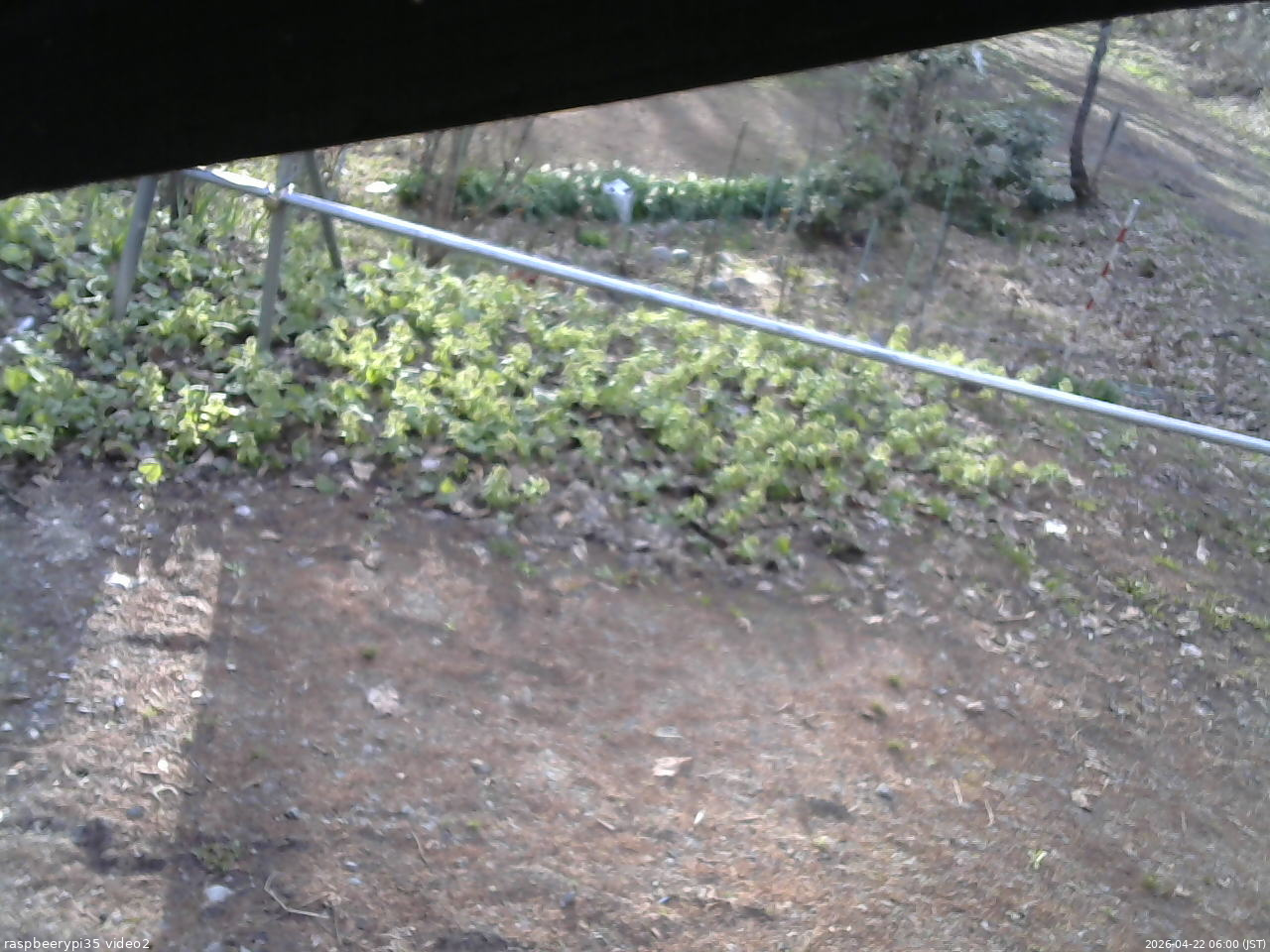 長野県菅平高原 ゆたか山荘 駐車場 2026/04/22 06:00