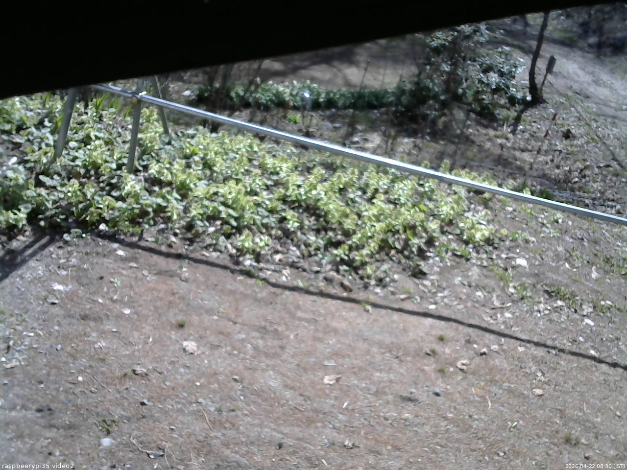 長野県菅平高原 ゆたか山荘 駐車場 2026/04/22 08:30