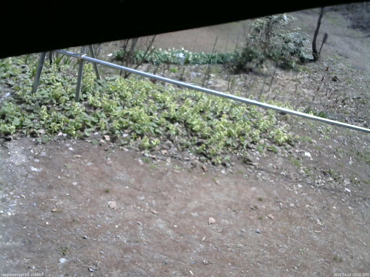 長野県菅平高原 ゆたか山荘 駐車場 2026/04/22 10:15