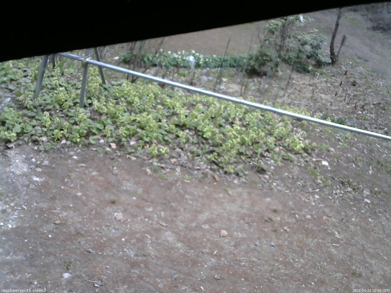 長野県菅平高原 ゆたか山荘 駐車場 2026/04/22 10:30