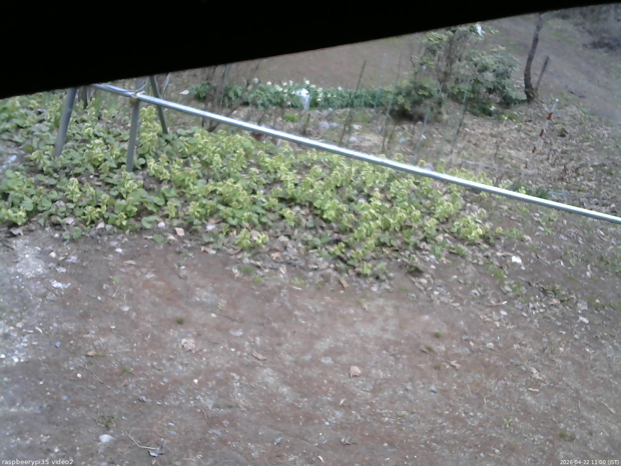 長野県菅平高原 ゆたか山荘 駐車場 2026/04/22 11:00