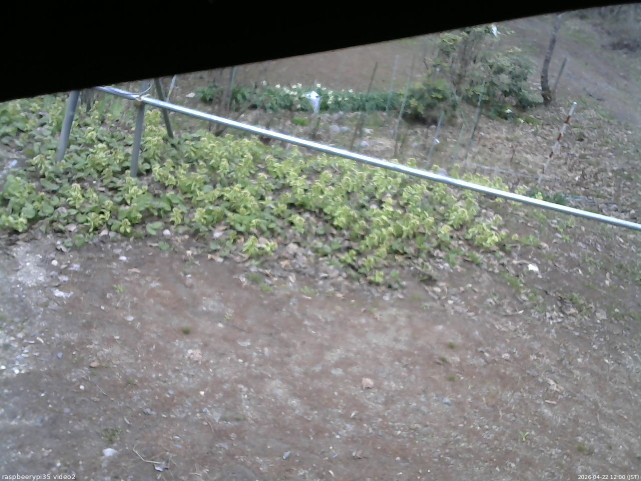 長野県菅平高原 ゆたか山荘 駐車場 2026/04/22 12:00