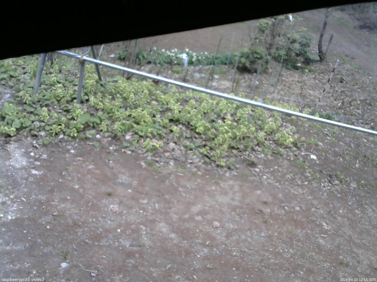 長野県菅平高原 ゆたか山荘 駐車場 2026/04/22 12:15