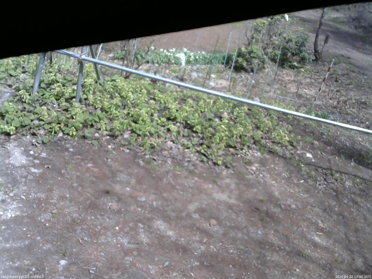 長野県菅平高原 ゆたか山荘 駐車場 2026/04/22 13:00