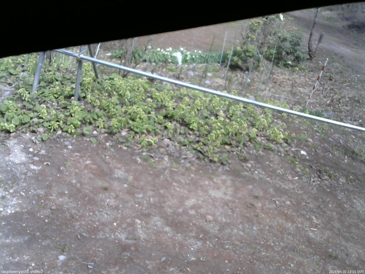 長野県菅平高原 ゆたか山荘 駐車場 2026/04/22 13:15