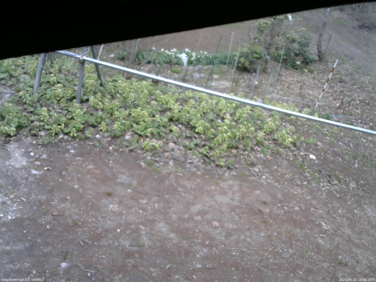 長野県菅平高原 ゆたか山荘 駐車場 2026/04/22 15:00