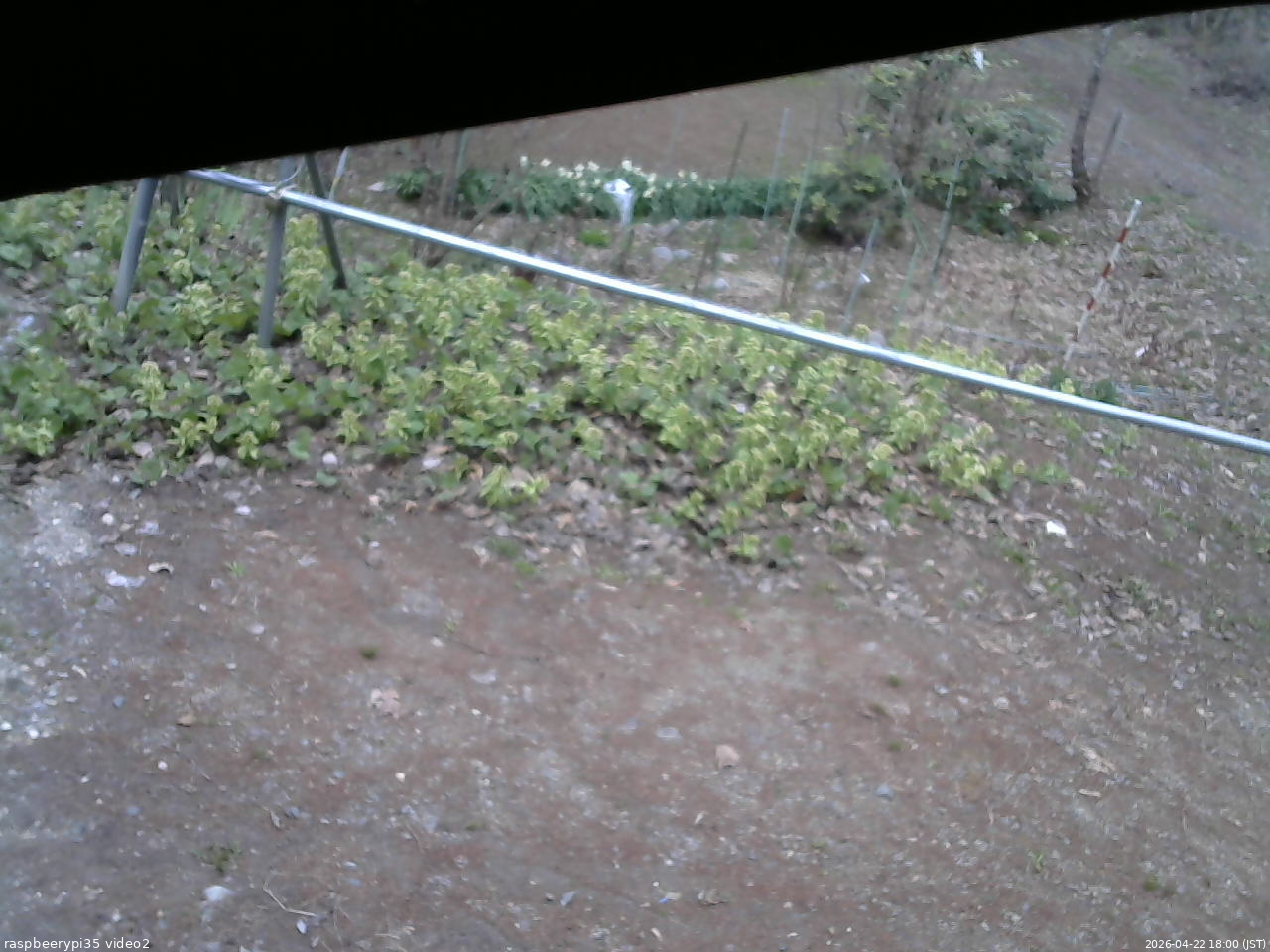 長野県菅平高原 ゆたか山荘 駐車場 2026/04/22 18:00