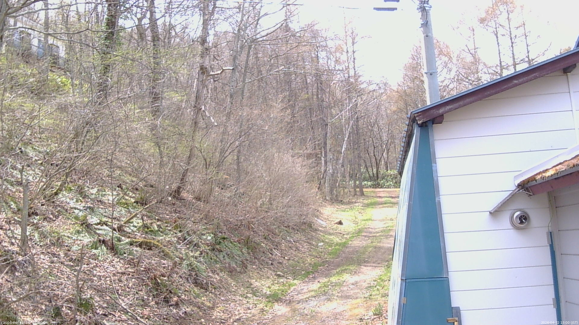 長野県菅平高原 ゆたか山荘 ゆたか山荘 2026/04/22 13:00