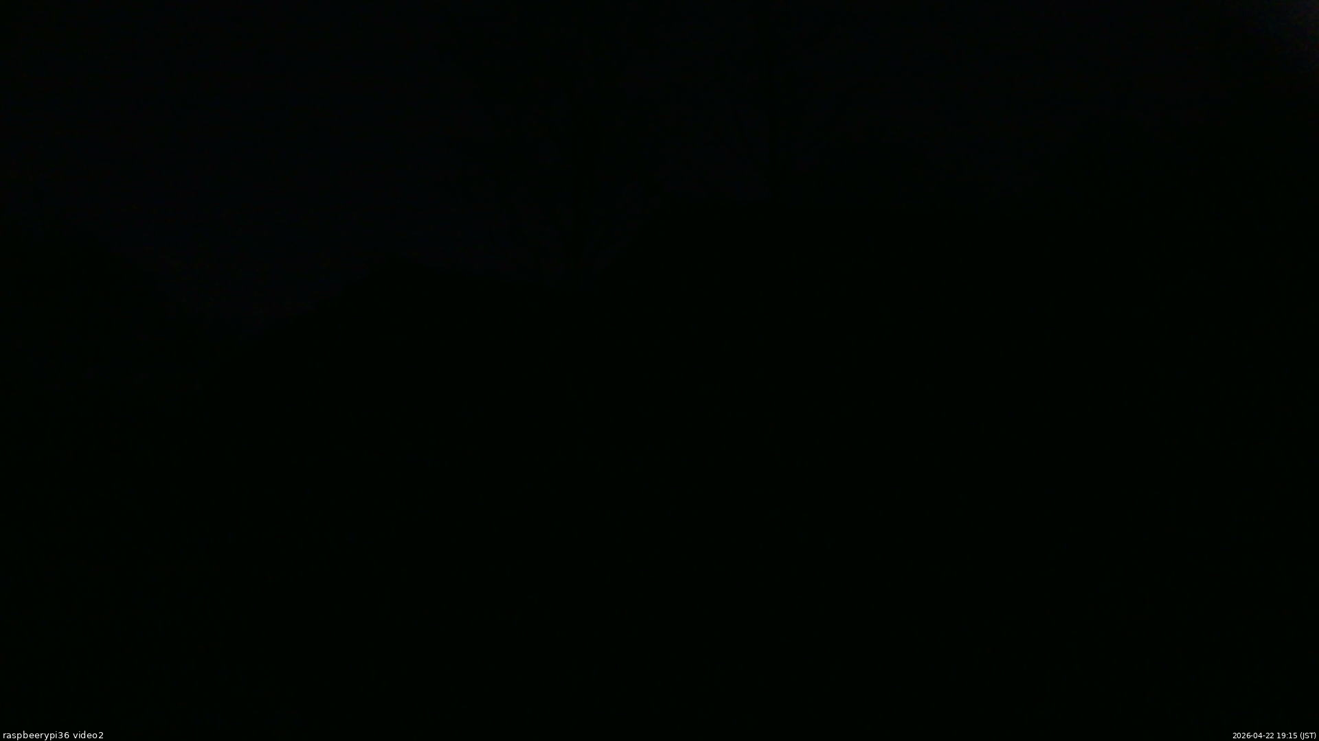 長野県菅平高原 ゆたか山荘 駐車場奥 2026/04/22 19:15