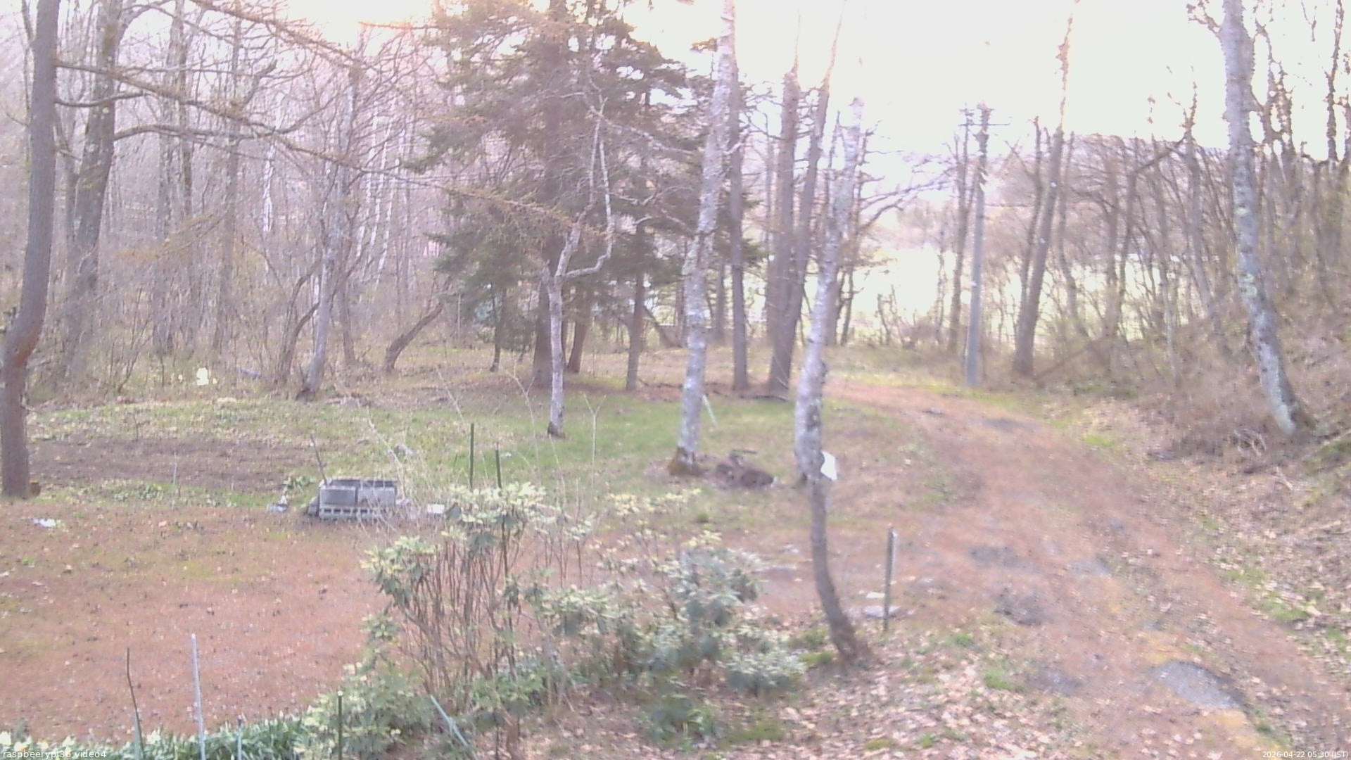 長野県菅平高原 ゆたか山荘 坂上 2026/04/22 05:30
