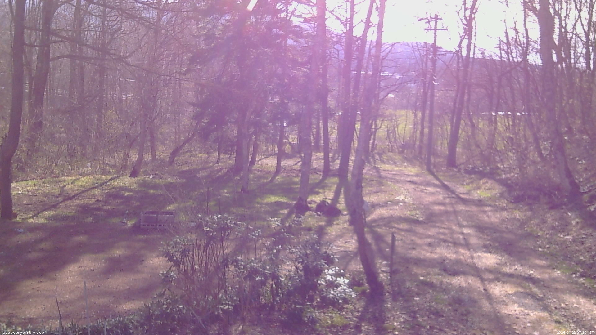 長野県菅平高原 ゆたか山荘 坂上 2026/04/22 07:30