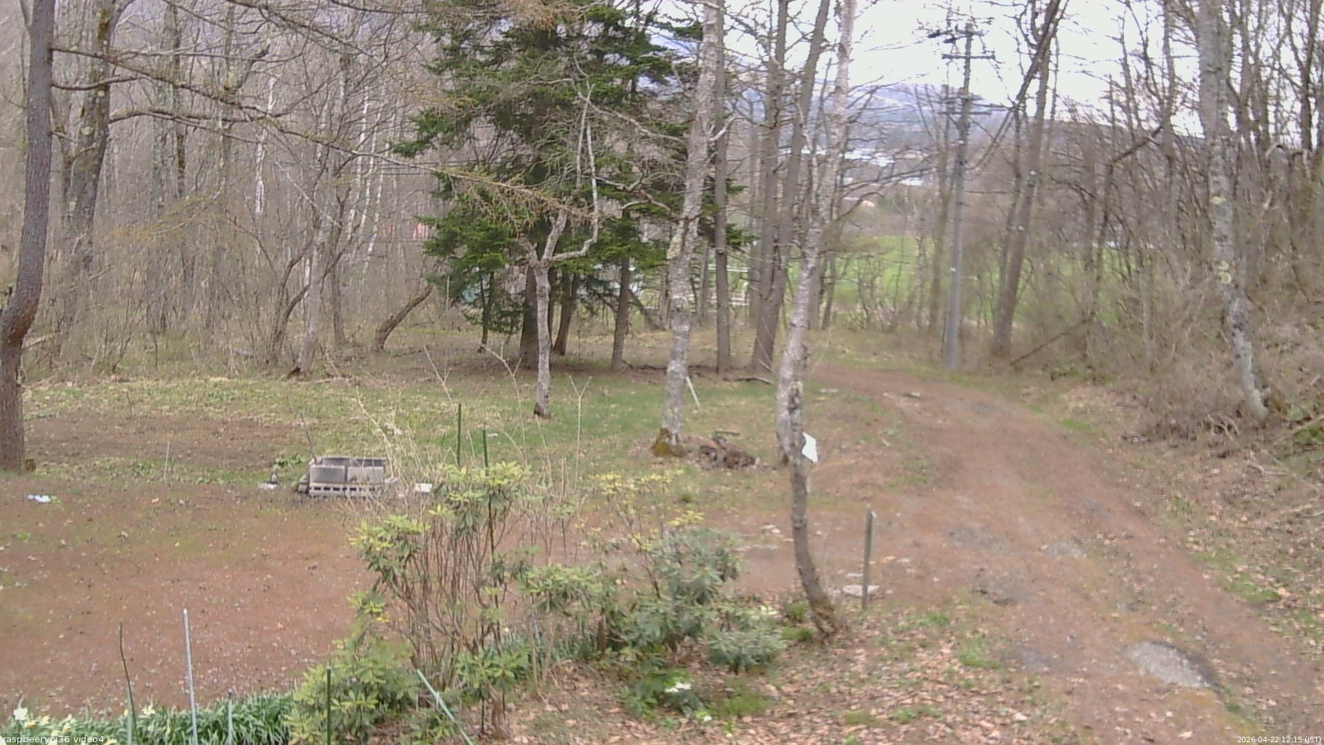 長野県菅平高原 ゆたか山荘 坂上 2026/04/22 12:15