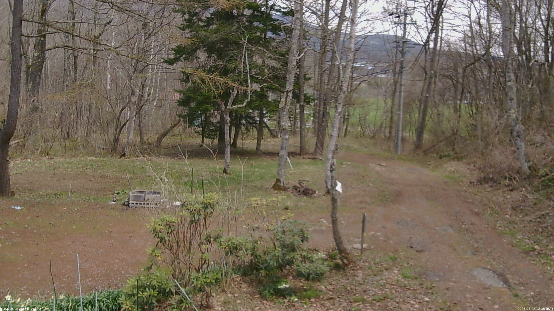 長野県菅平高原 ゆたか山荘 坂上 2026/04/22 12:30