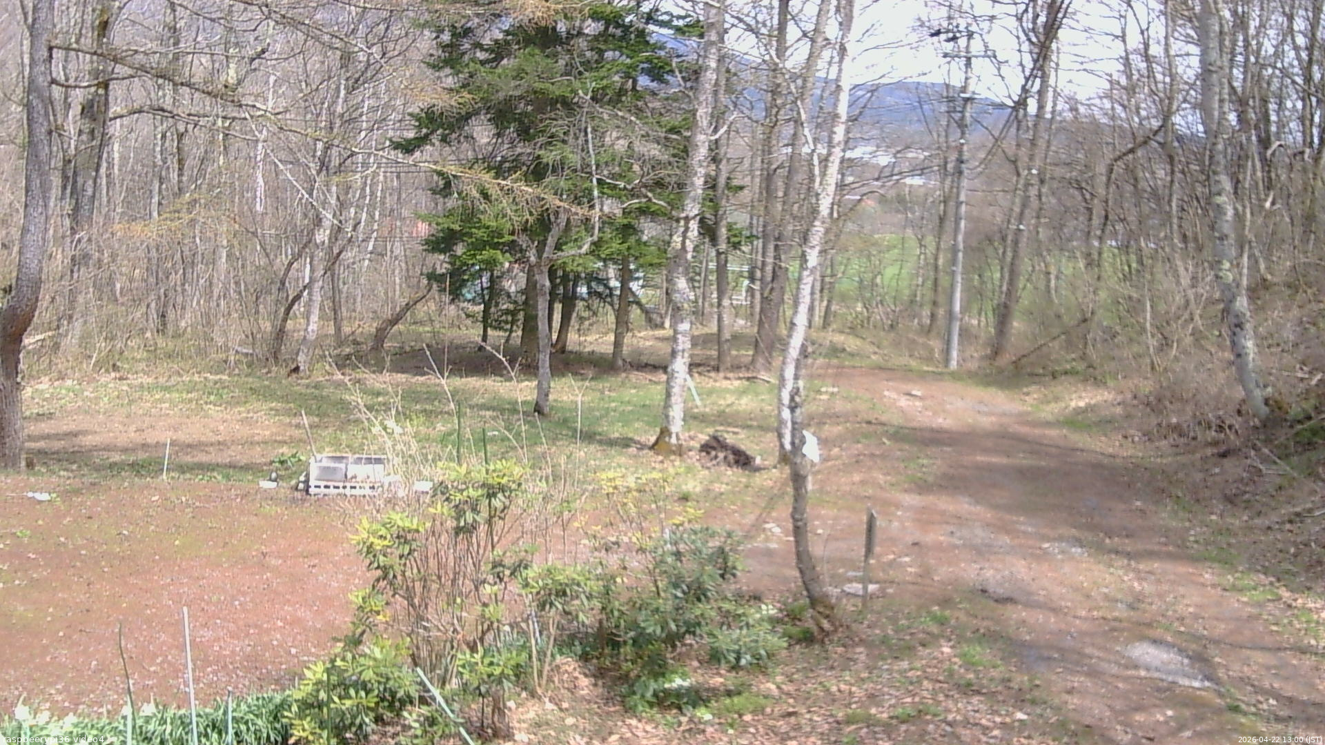 長野県菅平高原 ゆたか山荘 坂上 2026/04/22 13:00