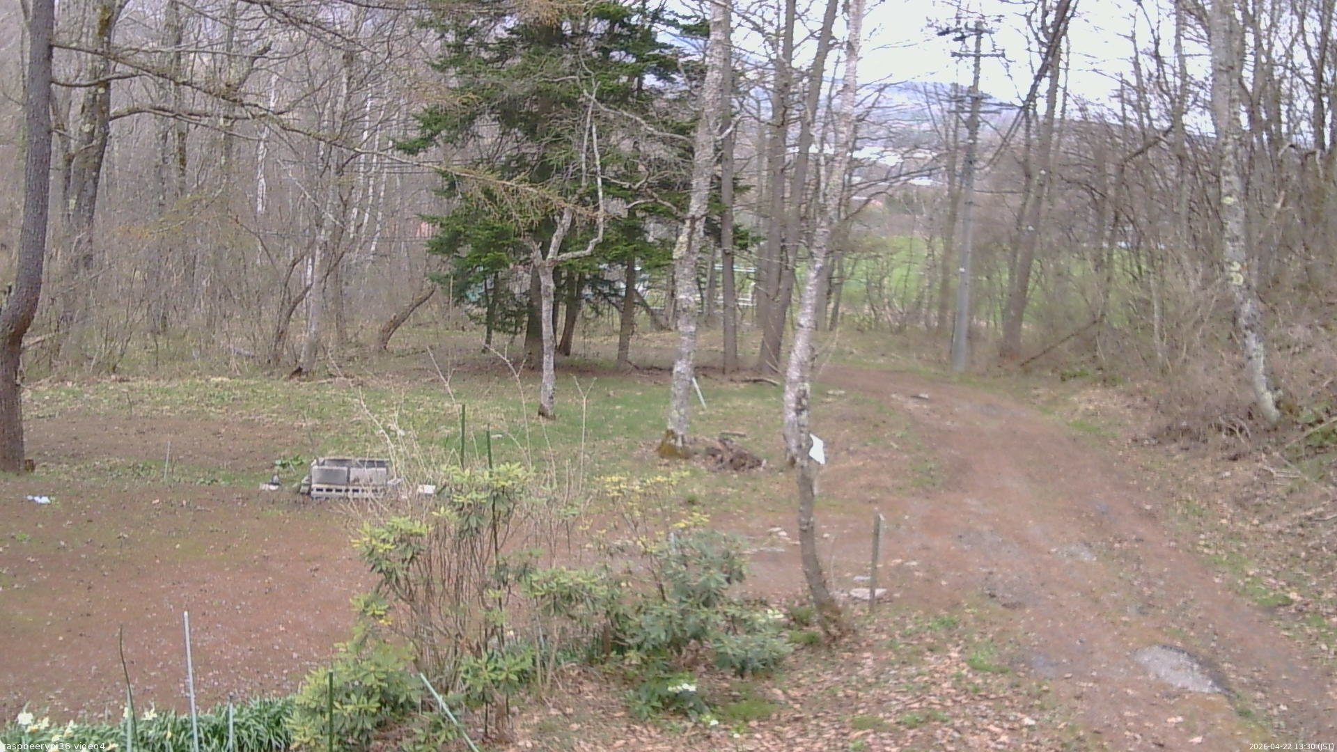 長野県菅平高原 ゆたか山荘 坂上 2026/04/22 13:30