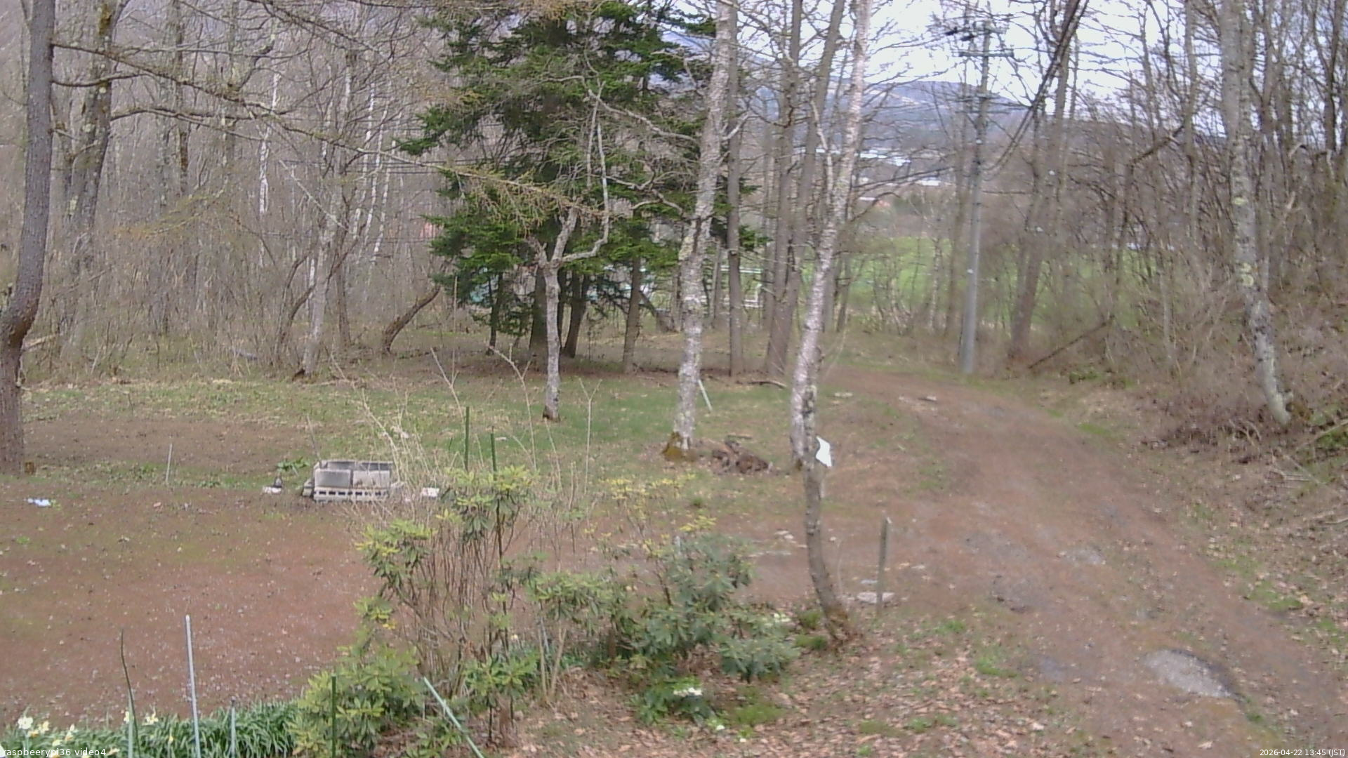 長野県菅平高原 ゆたか山荘 坂上 2026/04/22 13:45