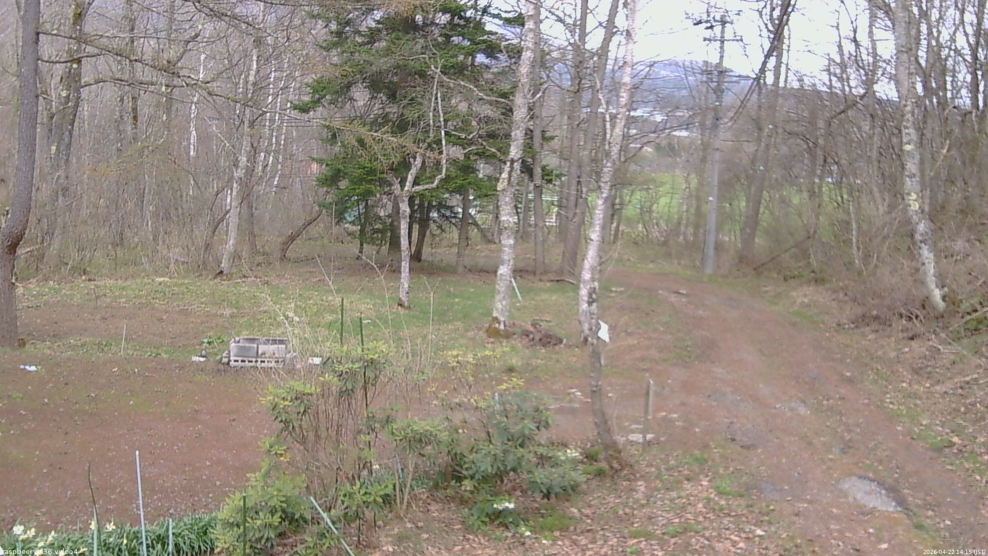 長野県菅平高原 ゆたか山荘 坂上 2026/04/22 14:15