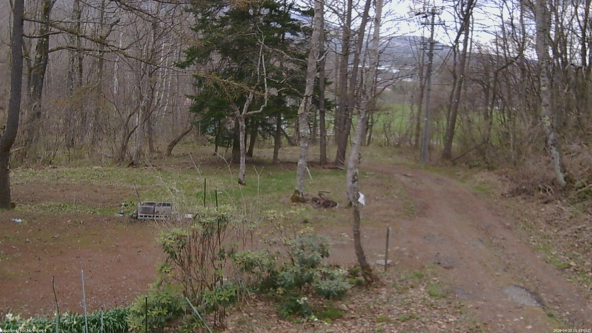 長野県菅平高原 ゆたか山荘 坂上 2026/04/22 15:45