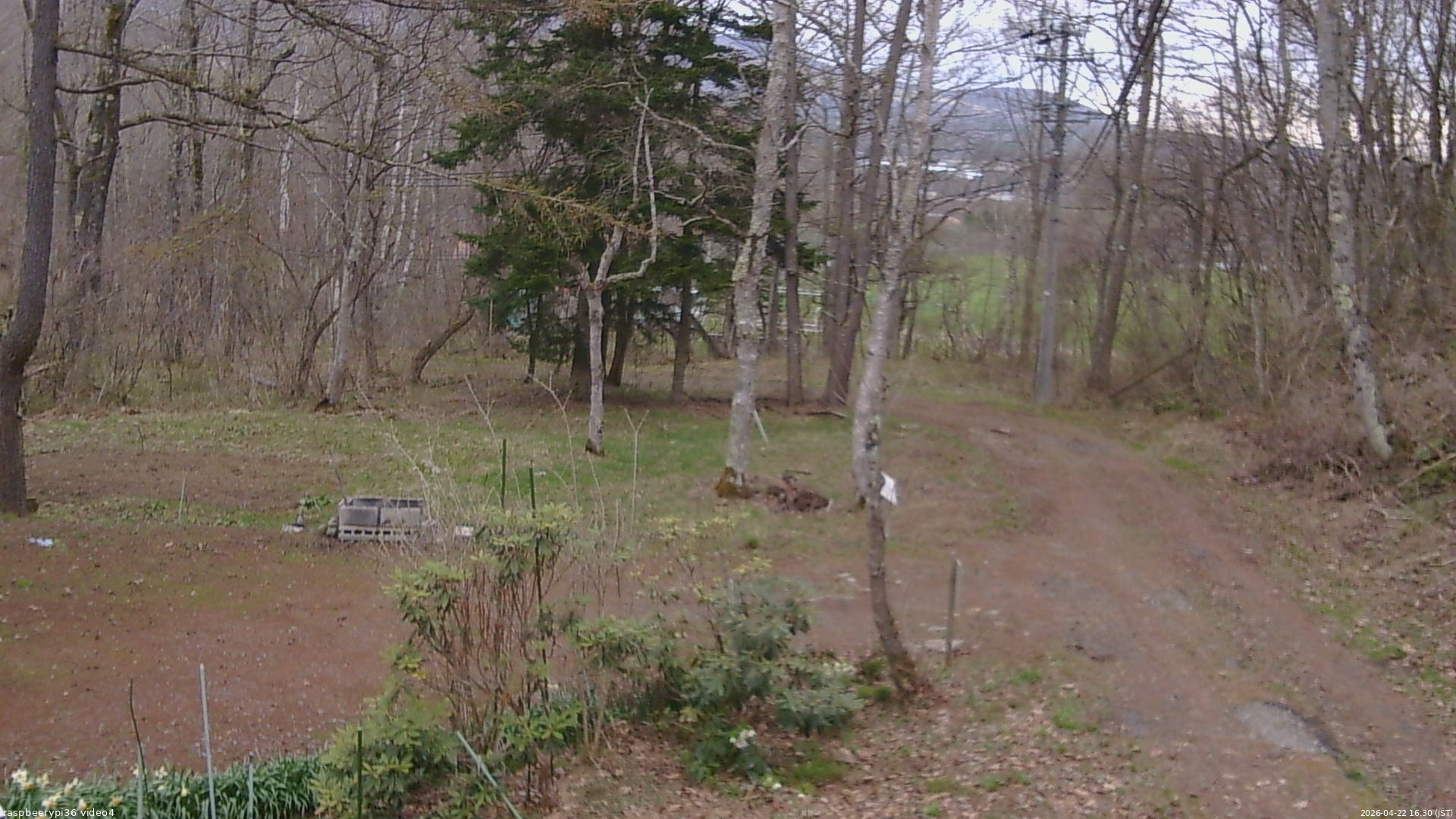 長野県菅平高原 ゆたか山荘 坂上 2026/04/22 16:30