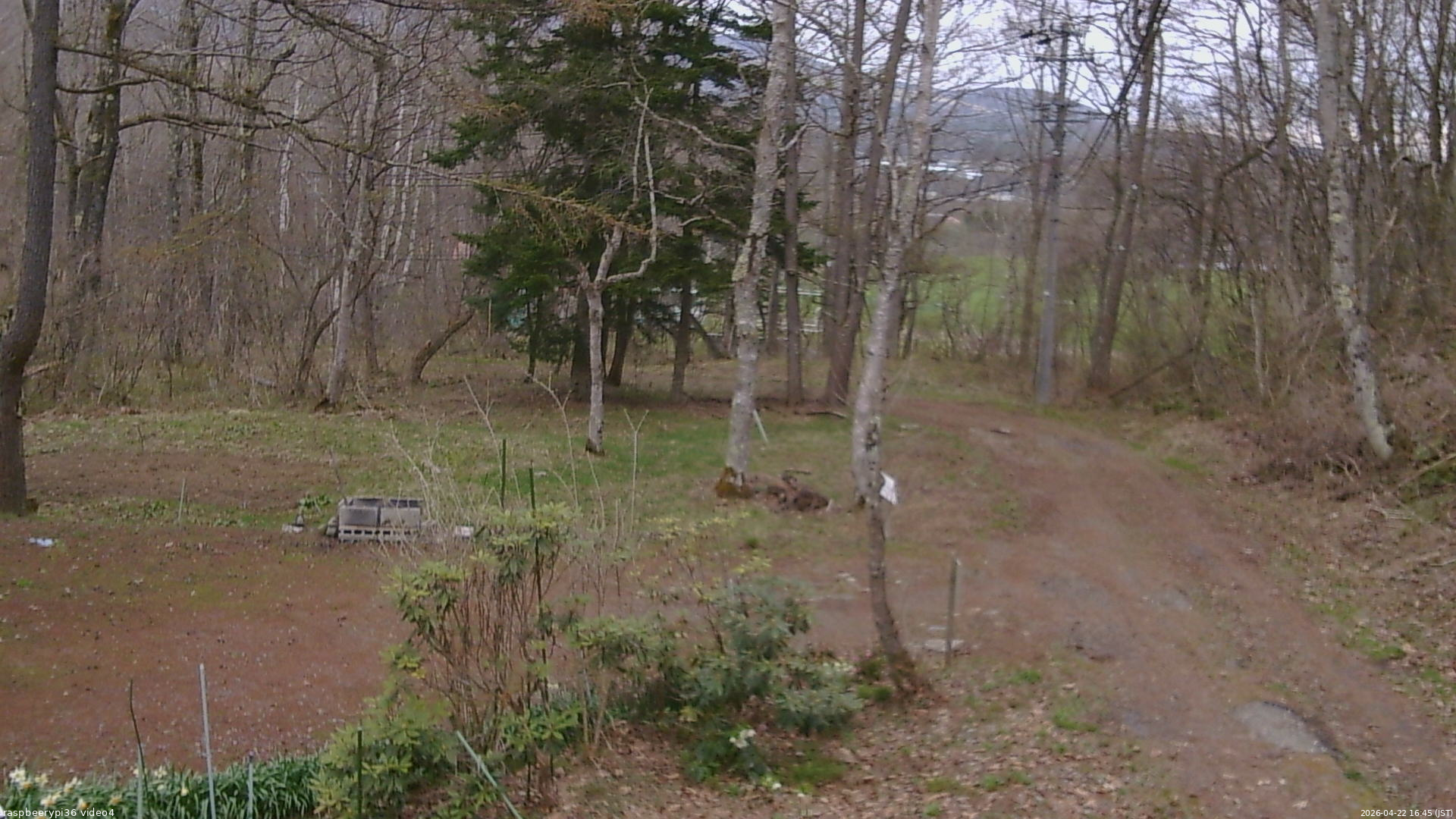 長野県菅平高原 ゆたか山荘 坂上 2026/04/22 16:45