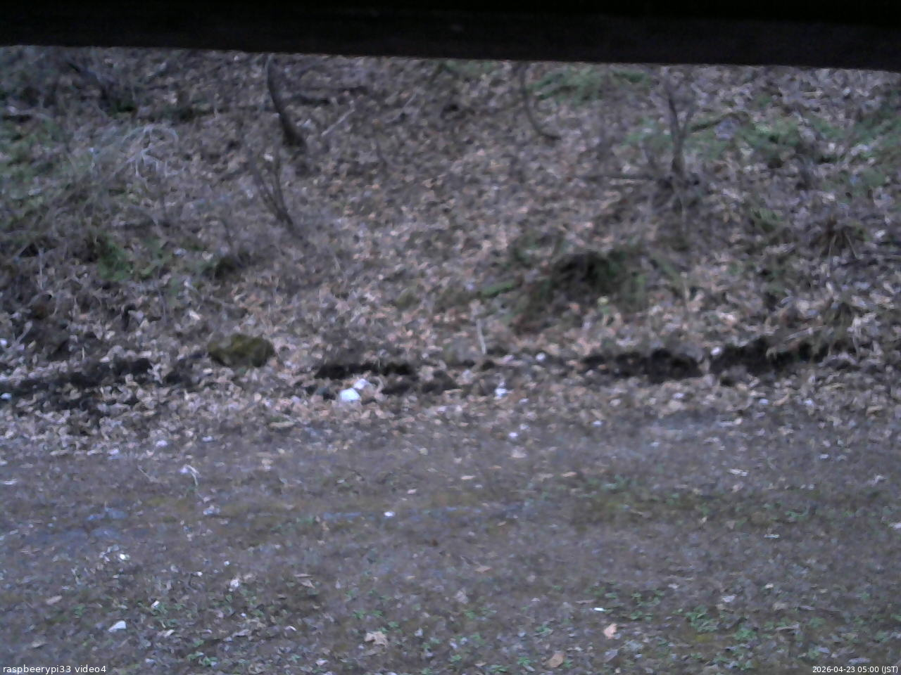 長野県菅平高原 ゆたか山荘 東側(坂下) 2026/04/23 05:00