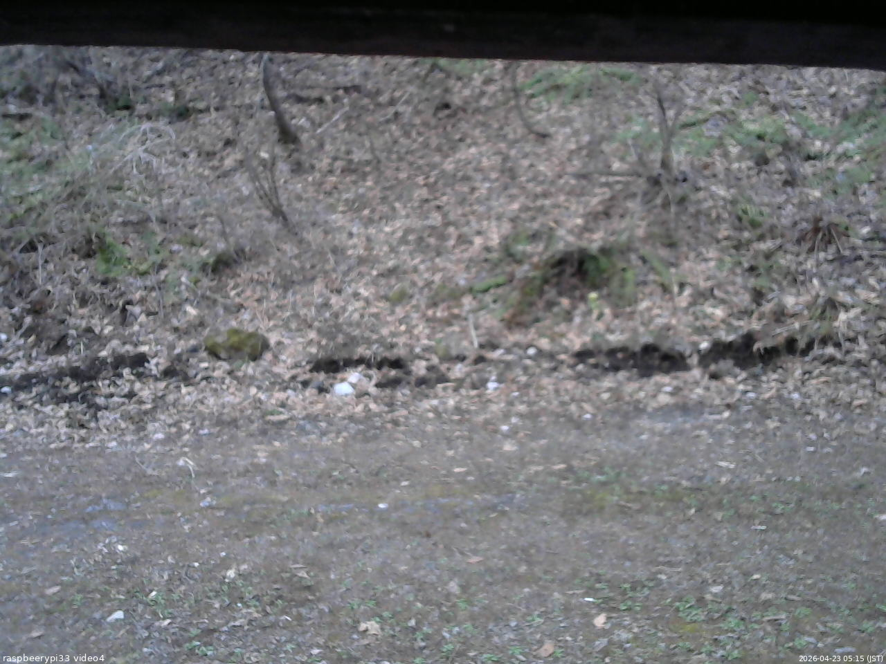 長野県菅平高原 ゆたか山荘 東側(坂下) 2026/04/23 05:15