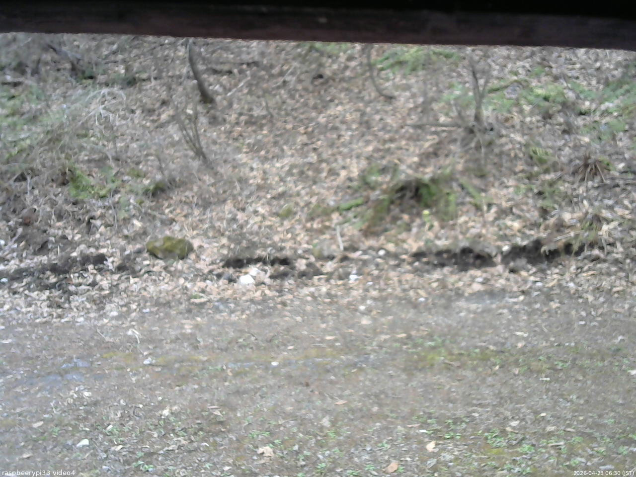 長野県菅平高原 ゆたか山荘 東側(坂下) 2026/04/23 06:30