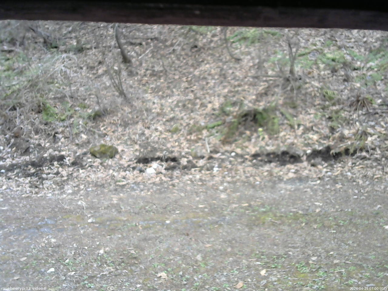 長野県菅平高原 ゆたか山荘 東側(坂下) 2026/04/23 07:00