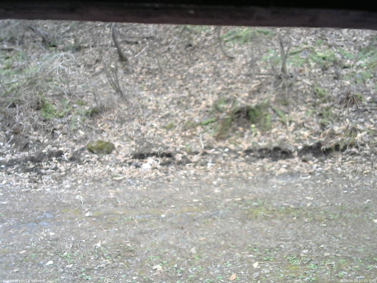 長野県菅平高原 ゆたか山荘 東側(坂下) 2026/04/23 07:15