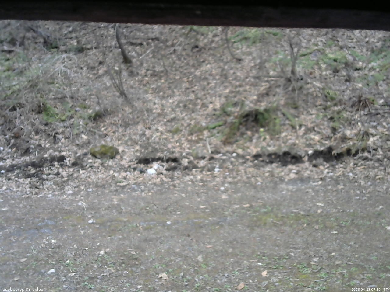 長野県菅平高原 ゆたか山荘 東側(坂下) 2026/04/23 07:30