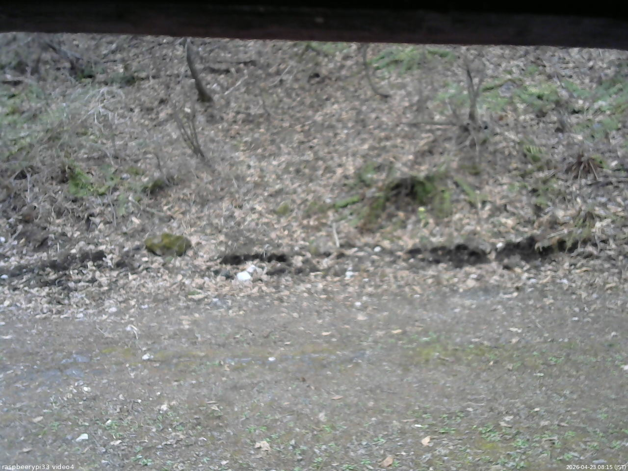 長野県菅平高原 ゆたか山荘 東側(坂下) 2026/04/23 08:15