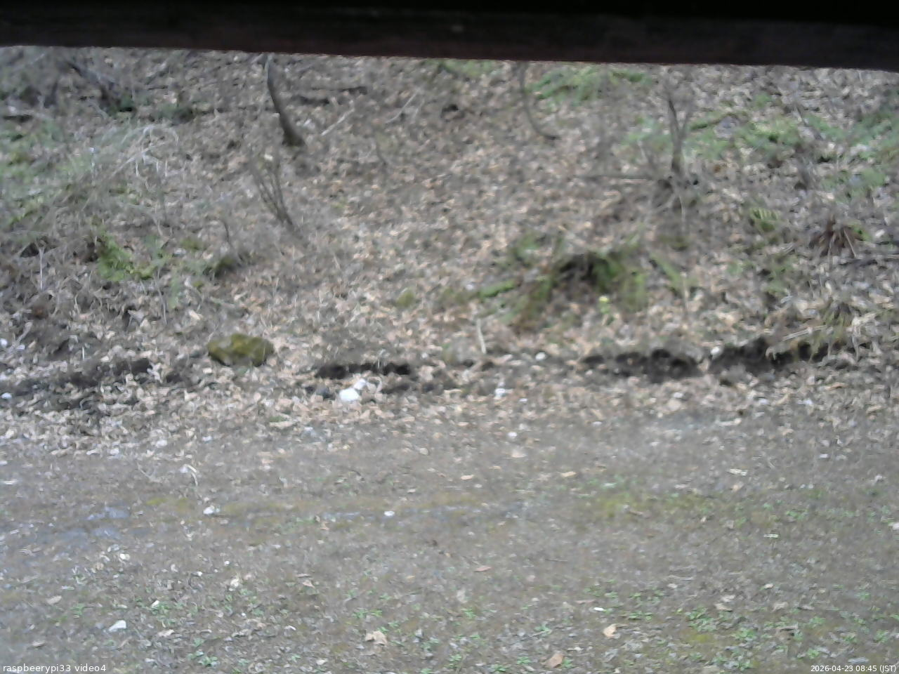 長野県菅平高原 ゆたか山荘 東側(坂下) 2026/04/23 08:45