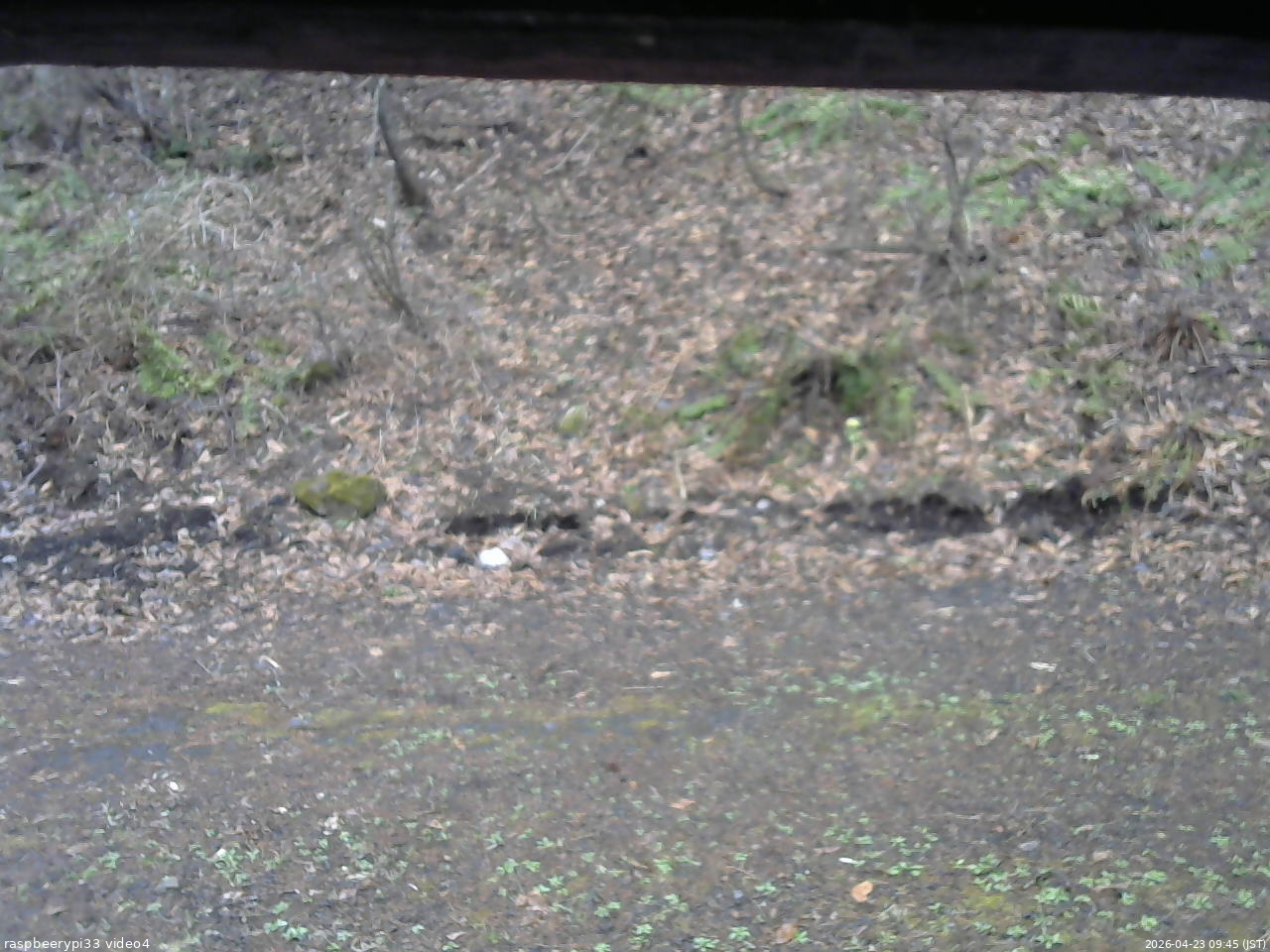 長野県菅平高原 ゆたか山荘 東側(坂下) 2026/04/23 09:45