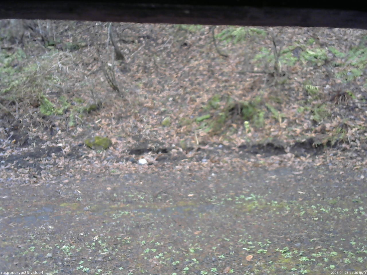 長野県菅平高原 ゆたか山荘 東側(坂下) 2026/04/23 11:30