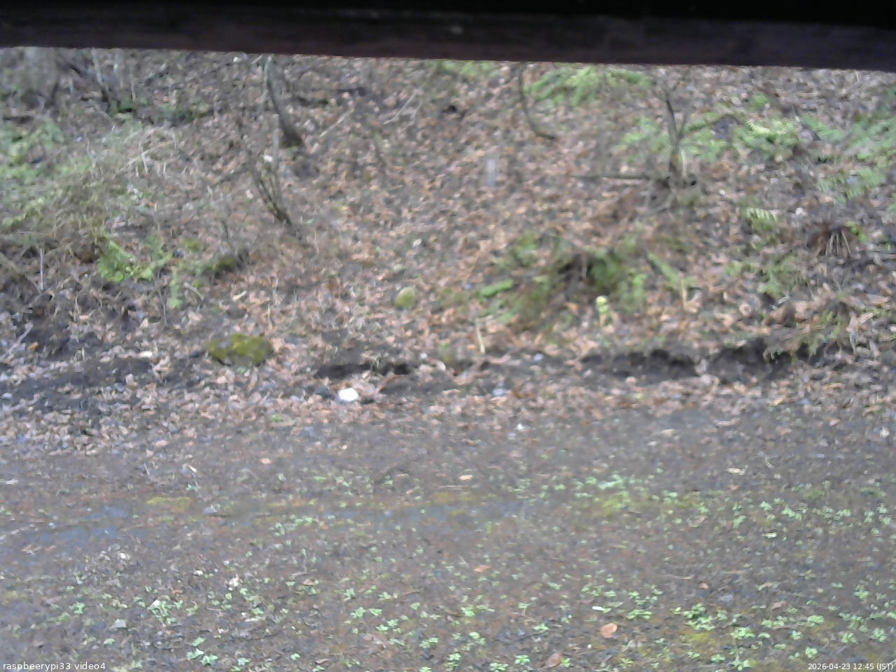 長野県菅平高原 ゆたか山荘 東側(坂下) 2026/04/23 12:45