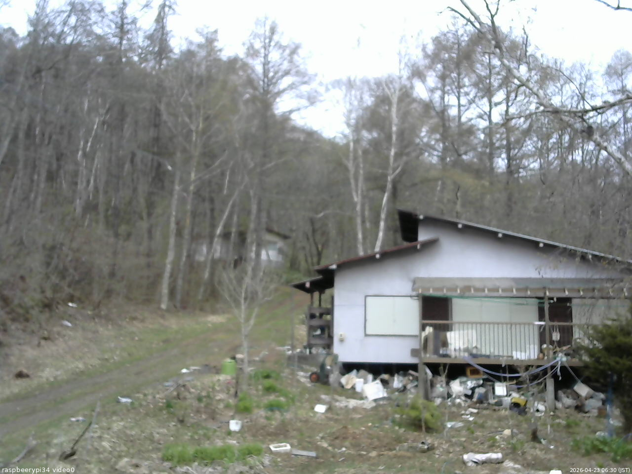 長野県菅平高原 ゆたか山荘 西側(坂上) 2026/04/23 06:30