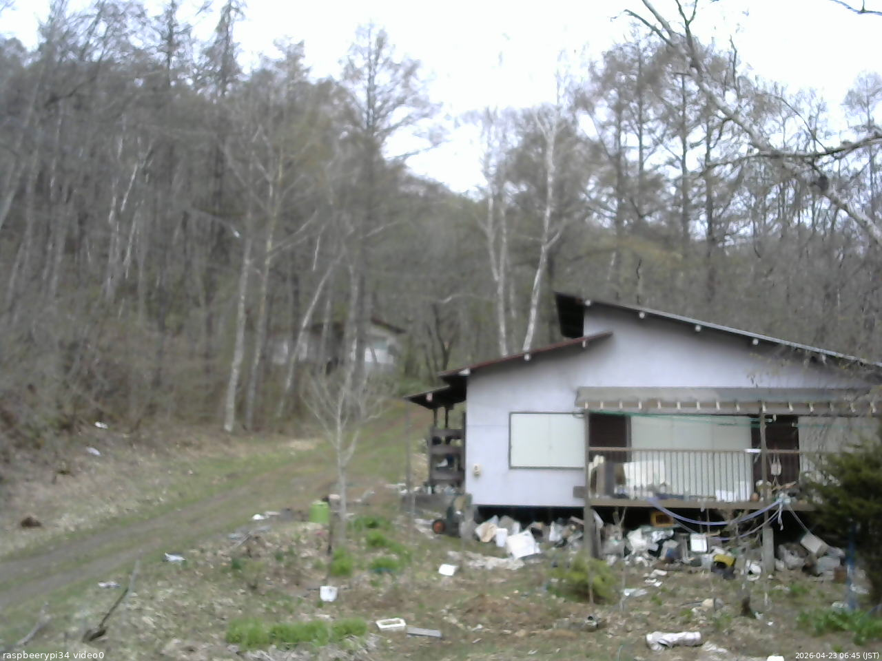 長野県菅平高原 ゆたか山荘 西側(坂上) 2026/04/23 06:45