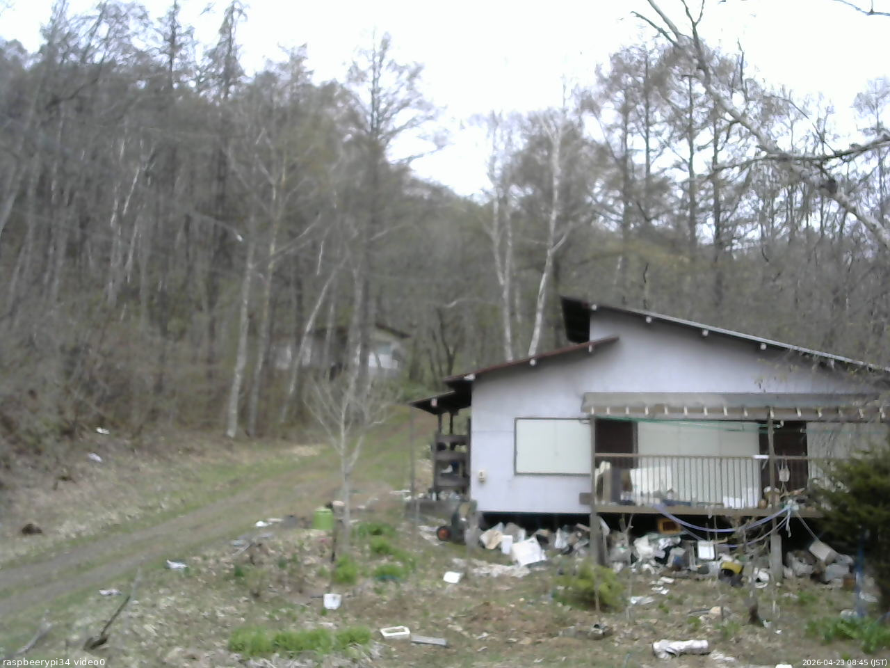 長野県菅平高原 ゆたか山荘 西側(坂上) 2026/04/23 08:45