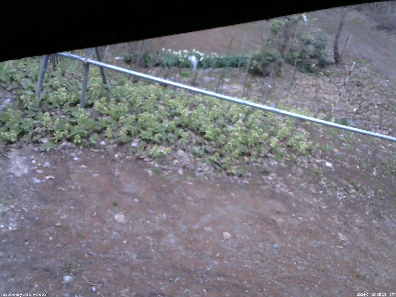 長野県菅平高原 ゆたか山荘 駐車場 2026/04/23 05:15
