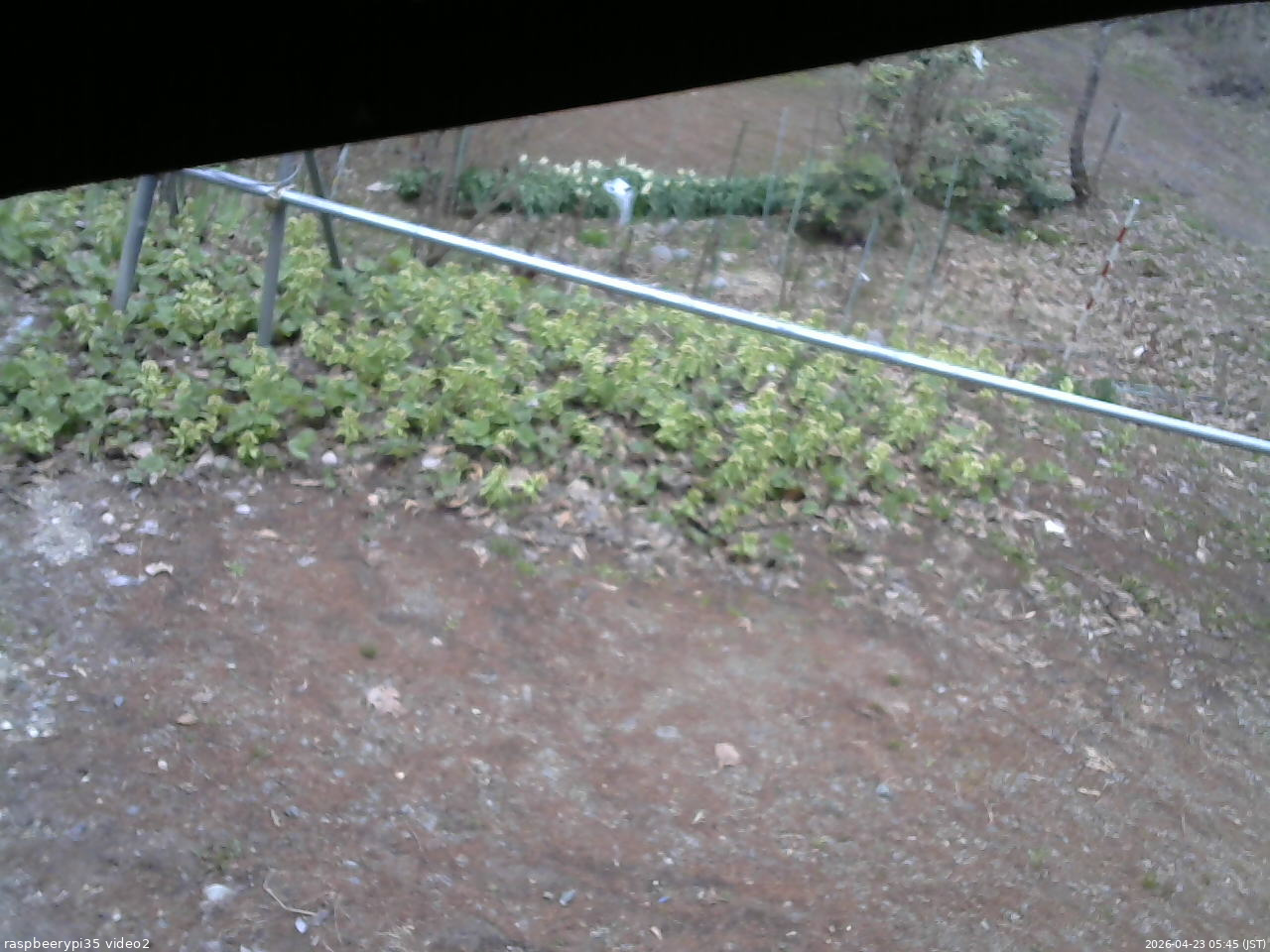長野県菅平高原 ゆたか山荘 駐車場 2026/04/23 05:45
