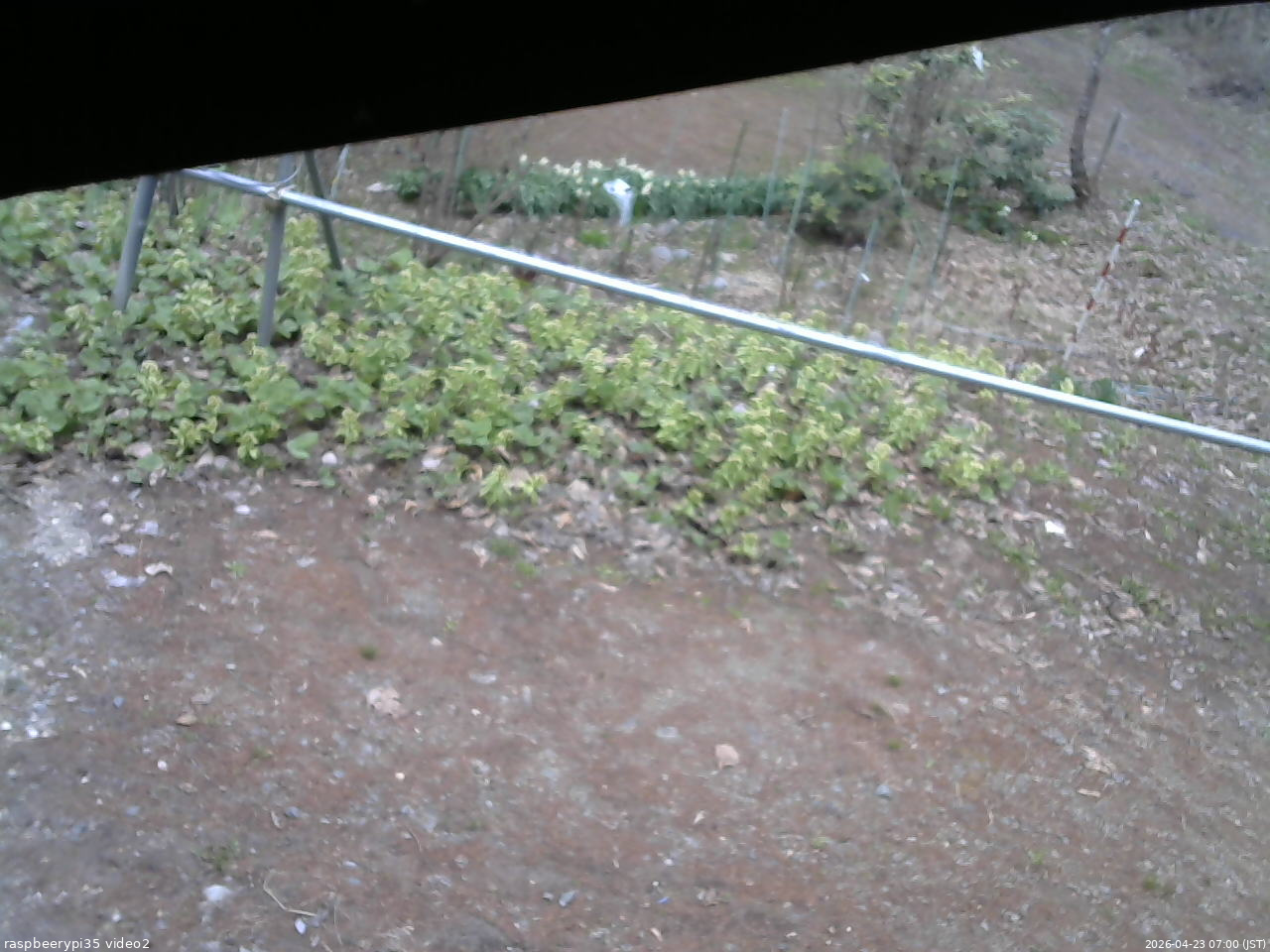 長野県菅平高原 ゆたか山荘 駐車場 2026/04/23 07:00
