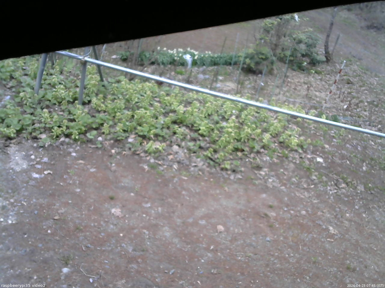 長野県菅平高原 ゆたか山荘 駐車場 2026/04/23 07:45