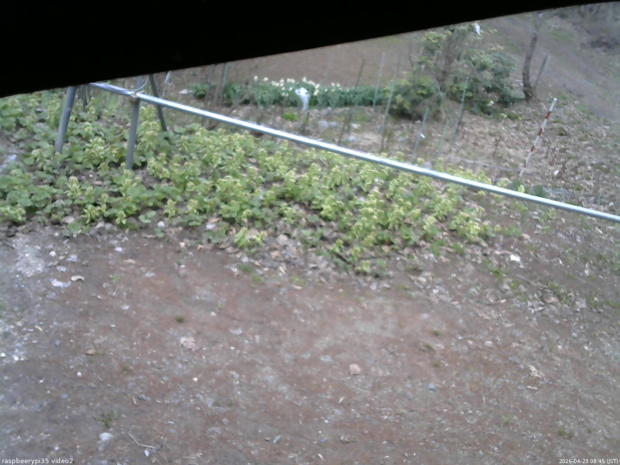 長野県菅平高原 ゆたか山荘 駐車場 2026/04/23 08:45