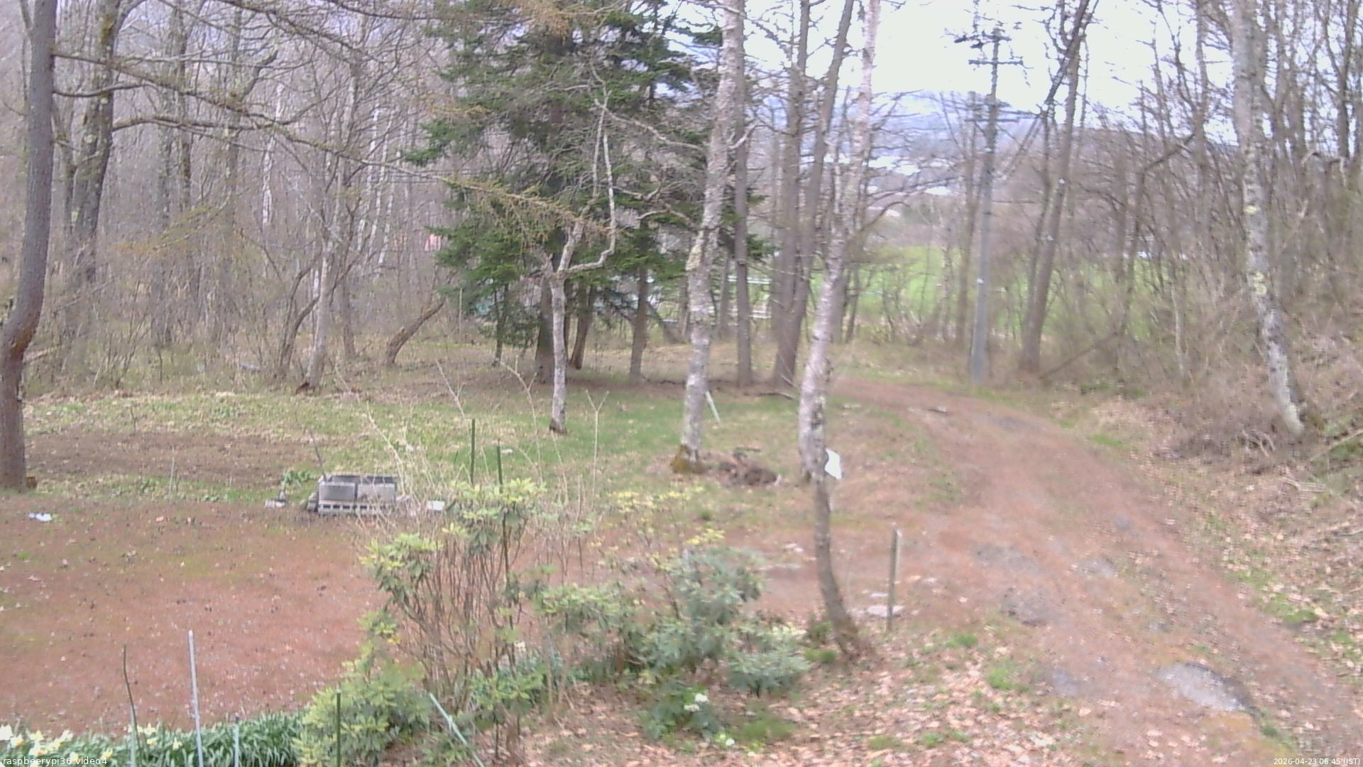 長野県菅平高原 ゆたか山荘 坂上 2026/04/23 06:45
